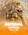 Imperial Express Hold & Win
